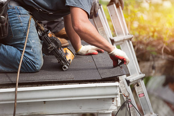 Best Roof Gutter Cleaning  in Waipio, HI